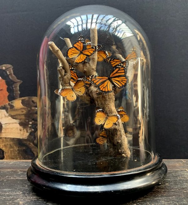 Antique bell with butterflies (Danaus Chrysipus).