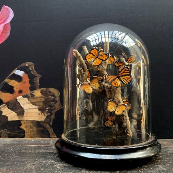 Antique bell with butterflies (Danaus Chrysipus).