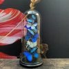 Antieke Stolp met Morpho mix vlinders