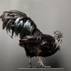 Mounted special Cemani Rooster