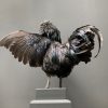 Taxidermy black Cemani rooster