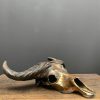 Special high quality metallized (bronze) skull of a Cape buffalo