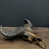 Special high quality metallized (bronze) skull of a Cape buffalo