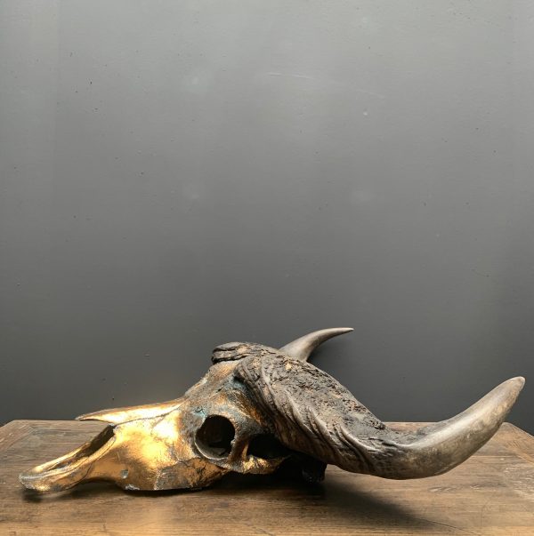 Special high quality metallized (bronze) skull of a Cape buffalo