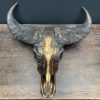 Bijzondere hoogwaardige gemetalliseerde (brons) schedel van een Kaffer buffel