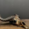 Special high quality metallized (bronze) skull of a Cape buffalo