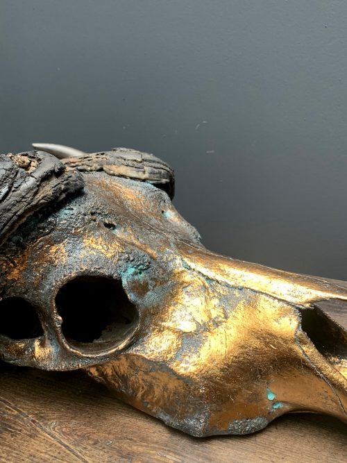 Special high quality metallized (bronze) skull of a Cape buffalo