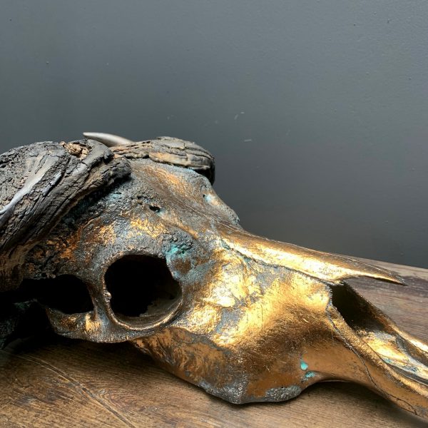 Special high quality metallized (bronze) skull of a Cape buffalo