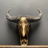 Special high quality metallized (bronze) skull of a Cape buffalo