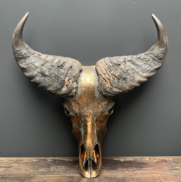 Special high quality metallized (bronze) skull of a Cape buffalo