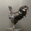 Mounted special Cemani rooster