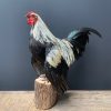 Taxidermy Bantam rooster