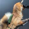 Unique taxidermy hunting fox
