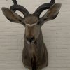 Taxidermy head of a giant kudu.