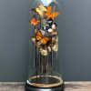 Antique oval dome filled with a mix of colorful butterflies (autumn shades)