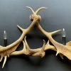 Wall lamp made of fallow deer antlers