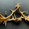 Wall lamp made of fallow deer antlers