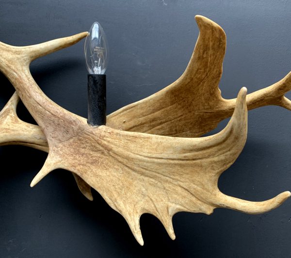 Wandlamp van damhertengewei