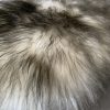 Grey sheepskin