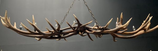 Oblong hanging lamp made of red deer antlers