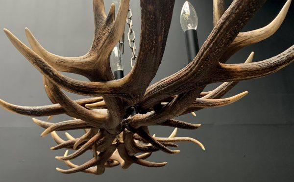 Oblong hanging lamp made of red deer antlers