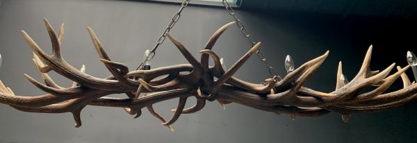 Oblong hanging lamp made of red deer antlers