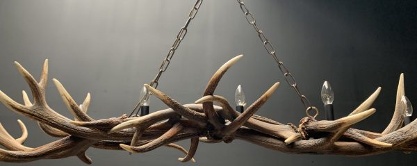 Oblong hanging lamp made of red deer antlers