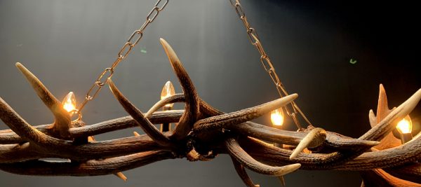 Oblong hanging lamp made of red deer antlers