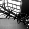 Oblong hanging lamp made of red deer antlers