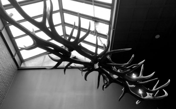 Oblong hanging lamp made of red deer antlers