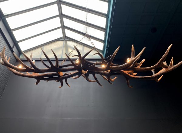 Oblong hanging lamp made of red deer antlers