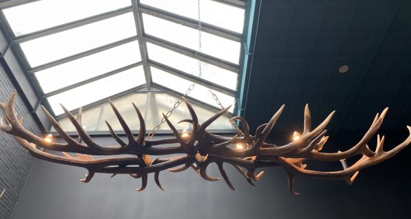 Oblong hanging lamp made of red deer antlers