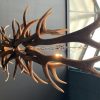 Oblong hanging lamp made of red deer antlers