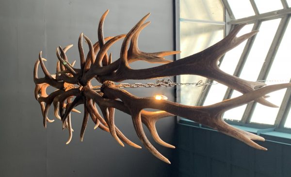 Oblong hanging lamp made of red deer antlers