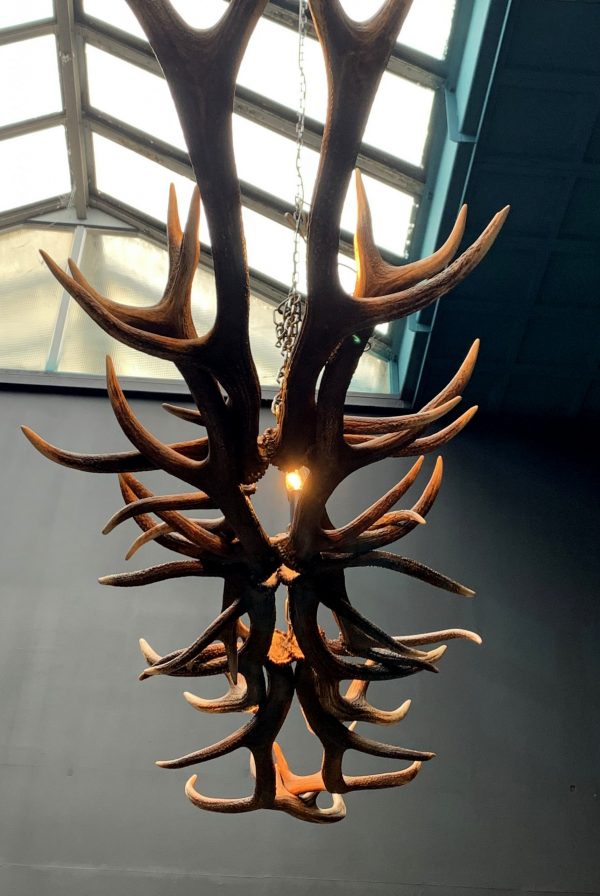 Oblong hanging lamp made of red deer antlers