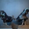 Mounted special Cemani rooster