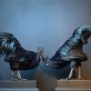 Mounted special Cemani rooster