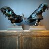 Mounted special Cemani rooster