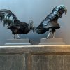 Ausgestopfter Cemani Hahn