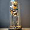 Antique bell jar filled with a mix of colorful butterflies in autumn colors