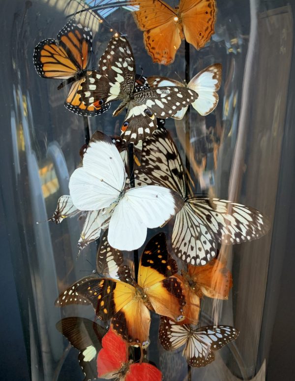 Antiker Glocken, gefüllt mit einer Mischung aus bunten Schmetterlingen in Herbstfarben