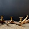 Antler candlestick