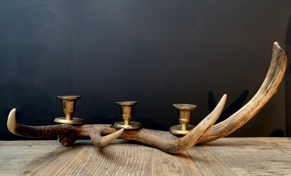 Antler candlestick