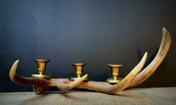 Antler candlestick