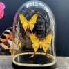 Modern lamp made of fallow deer antlers