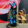 Antique dome with Morpho mix butterflies