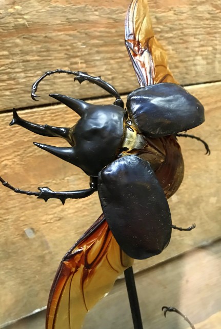 Ancient bell with two big Rhinoceros beetles