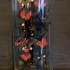 Antique bell jar filled with a mix of black / red butterflies