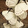 Antike Glocke mit weißem Catenarius Morpho Schmetterlinge