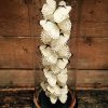 Antique bell with white Catenarius Morpho butterflies